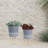 Includes plant rack flower pots