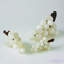 Sculpture raisins bella-24450650-24450651