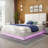 Deaundra Upholstered Platform Storage Bed-955994495-1000707688