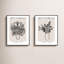 Arte Floreale Set by Romina Gadler-367617898-367617900