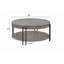 Table basse contemporaine 1Pc avec tablette de rangement