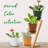 6 inch Plant Pots 5 Pack-846098984