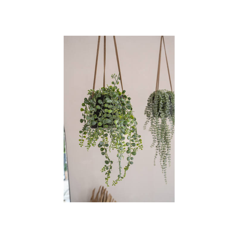 Gray Fiberstone Hanging Pot, Black, 6" W x 6" D x 6" H