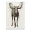 «Majestic Wildlife I», reproduction-727992780-727995888