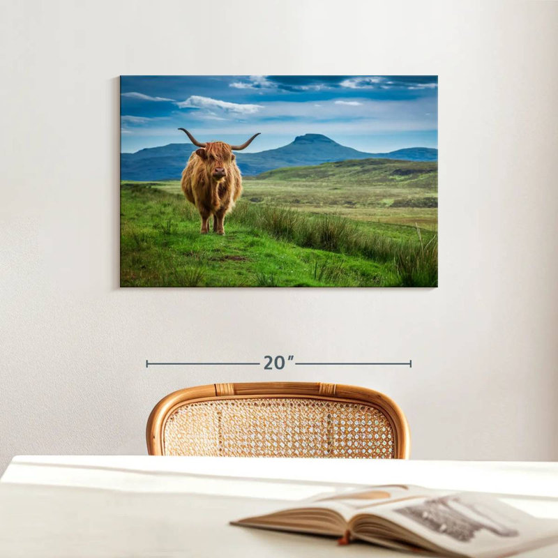 Brampt Skye Highland Cow, H 16 po x l 24 po