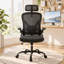 High Back Ergonomic Mesh Office Chair-718262171