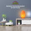 Lampe de sel rose naturelle Himalayan Glow, veilleuse 4-6 livres