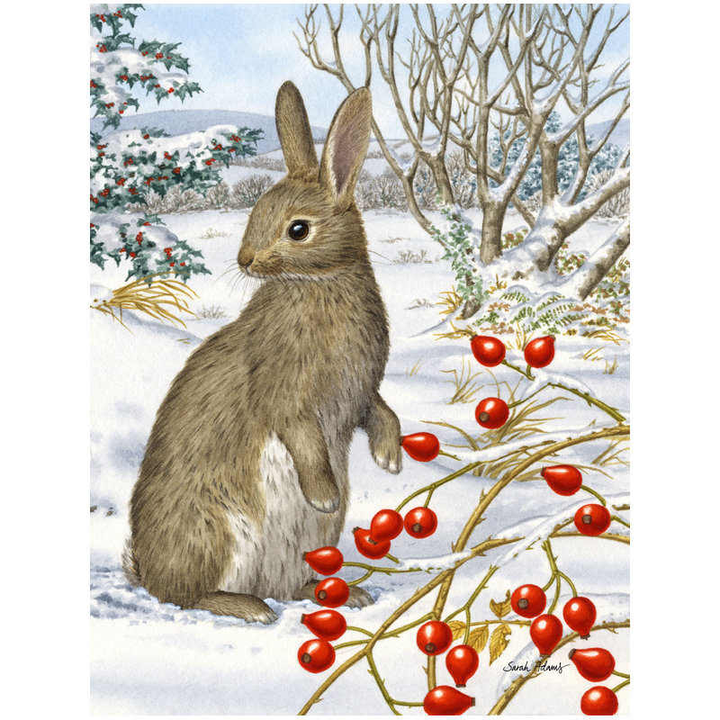 Rabbit Double Sided 40'' H x 28'' W Polyester Animal House Flag