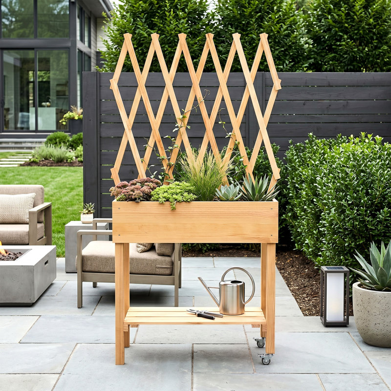 Solid Wood Raised Garden Bed Outdoor Elevated Planter Box