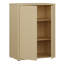Alice Springs Rectangle Accent Cabinet-127661540