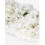 Bellamy Oblong Hydrangea Arrangement-149398382