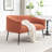 Upholstered Faux Fur Loveseat-1108305445-1108305446