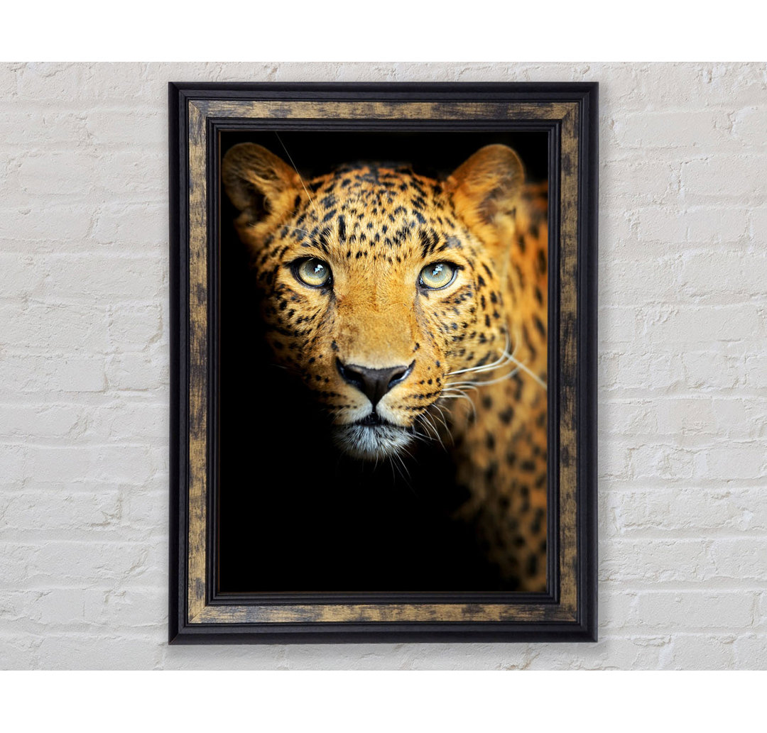 Leopard Beauty - Einzelner Bilderrahmen Kunstdrucke