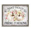 Hand Picked Pumpkins Framed Giclee Art by Creatif Belle-1435301359-1435301358
