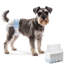Dog Diaper