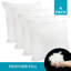 Bourrure de coussin de forme carré-1431801824-1431801827