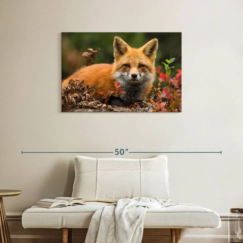 Happy Fox, 24" H x 36" W
