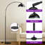 80.3 Inch Tall Aluminum Canopy Arched Floor Lamp With Foot Switch And Remote Control Switch-268692612