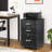 Arieliz 15.75'' Wide 3 -Drawer Mobile File Cabinet-945571954