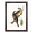 Walnut Framed selected