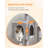 Indoor Cat Tree With Hammock, 2 Perches, Scratching Posts & Large Condo