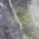 Premium Machine Washable Elize AMF1523 Abstract Rug