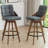 Pautauros Swivel 26" Counter Stools-583244836