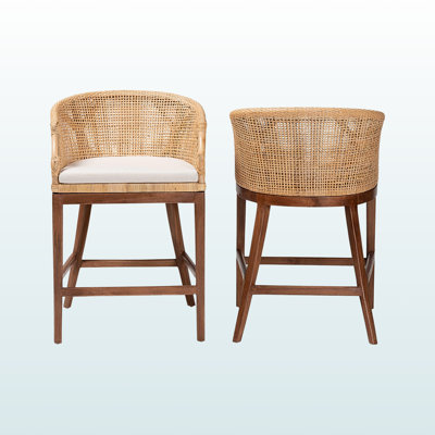 Rayetta 2-Piece Natural Finish Bohemian Counter Stool Set