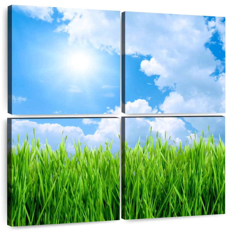 Champ d'herbe Harnek sous un ciel bleu, H 18 po x l 18 po