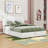 Upholstered Platform Bed with Hydraulic Storage-817290540-817290542