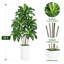 Arbre artificiel Dracaena de 1,5 m, plante Dracaena fragrans à plusieurs têtes avec pot blanc, feuilles réalistes aux tons jaunes, plante d'intérieur facile d'entretien pour la décoration de la maison et du bureau extérieur couvert-129867221