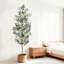 Olive artificielle, grands oliviers artificiels d'intérieur avec jardinière, tronc en bois naturel et fruits réalistes, faux olivier artificiel pour la décoration de bureau personnel