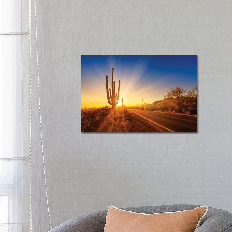 Saguaro National Park Setting Sun by Melanie Viola - Wrapped Canvas Print, 66.04 cm H x 45.72 cm W x 1.91 cm D