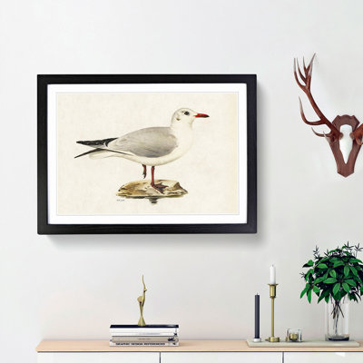 Black-Headed Gull by Von Wright - Picture Frame Art Print