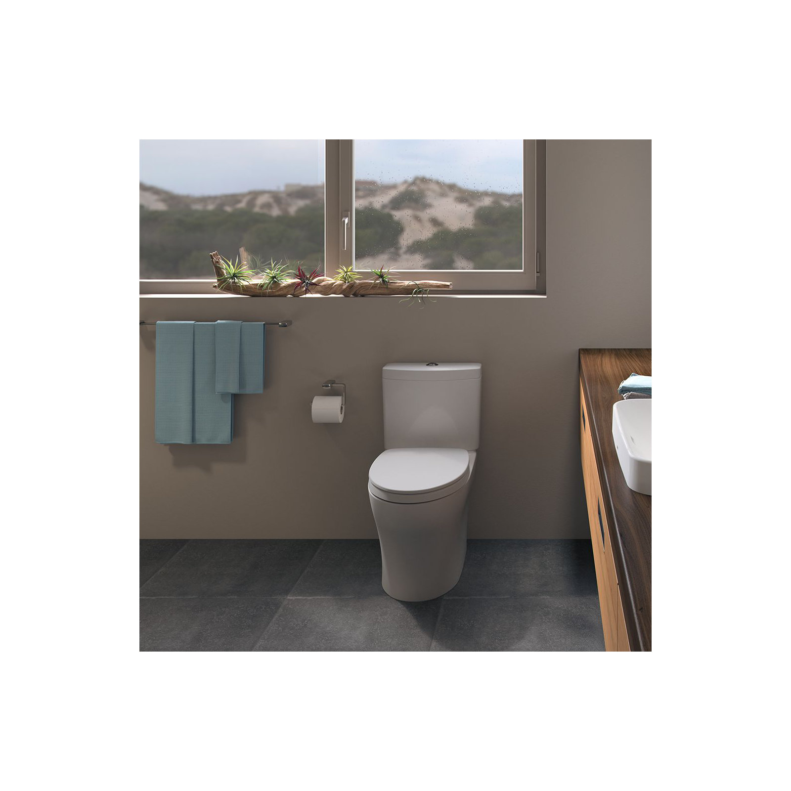 Aquia® IV Dual-Flush Elongated Two-Piece Toilet (Seat Included), Colonial White, Top
