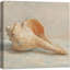 «Minimal Coastal Seashell Still Life Soft Neutral Tones», reproduction d'art sur toile encadrée-70597802-70597803