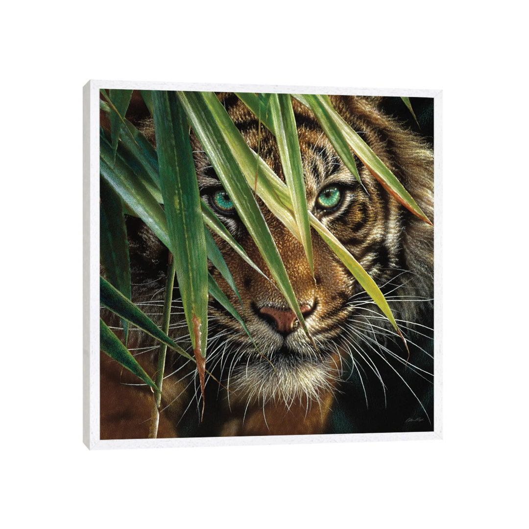 Tiger Eyes by Collin Bogle - Wrapped Canvas Print