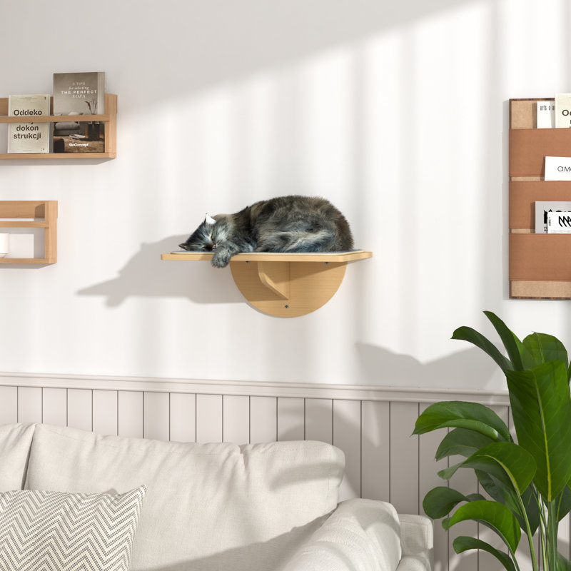 Ventouses pour chat Ceili