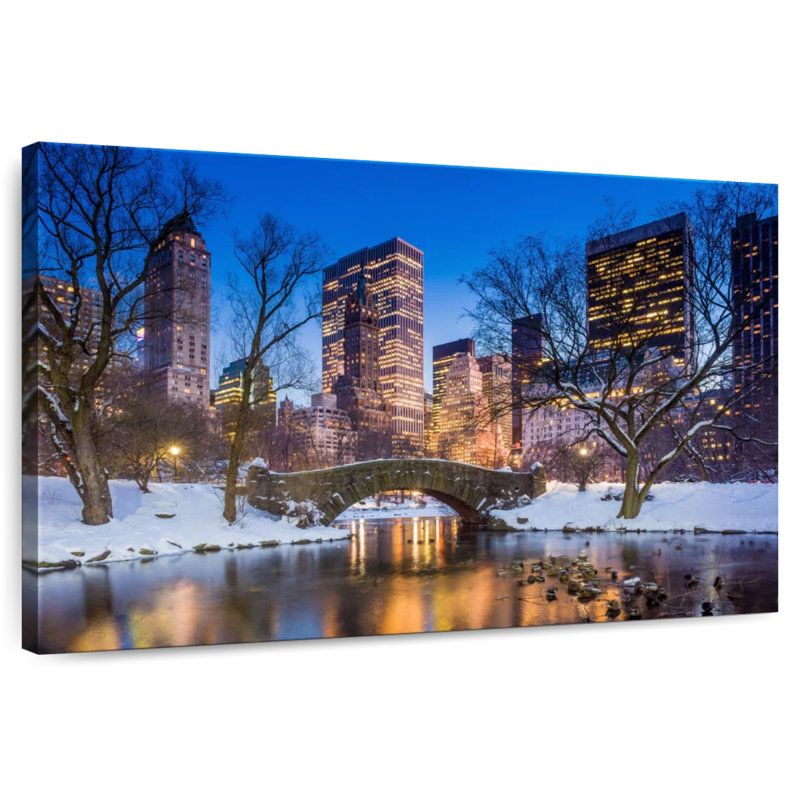 Ravi Snowy Central Park, 8" H x 12" W