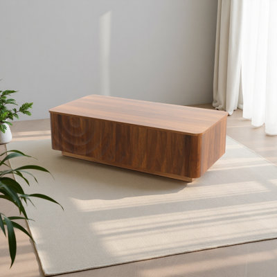 47'' Rectangle Coffee Table With Storage
