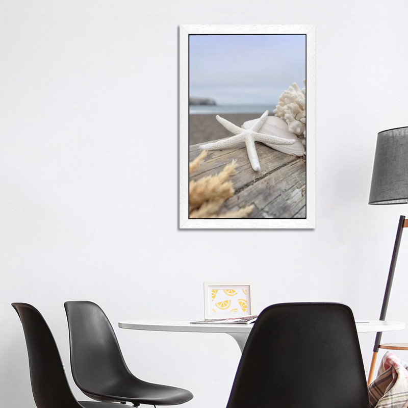 Crescent Beach Shells XIII by Alan Blaustein - Floater Frame Print on Canvas, 66.04 cm H x 45.72 cm W, White Framed