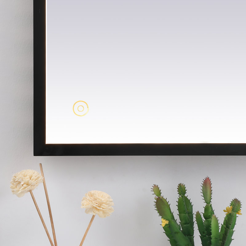 Piche Aluminium Mirror, Black, 42" x 72"