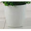 Lily Simulation Flower Set Decoration-756827994