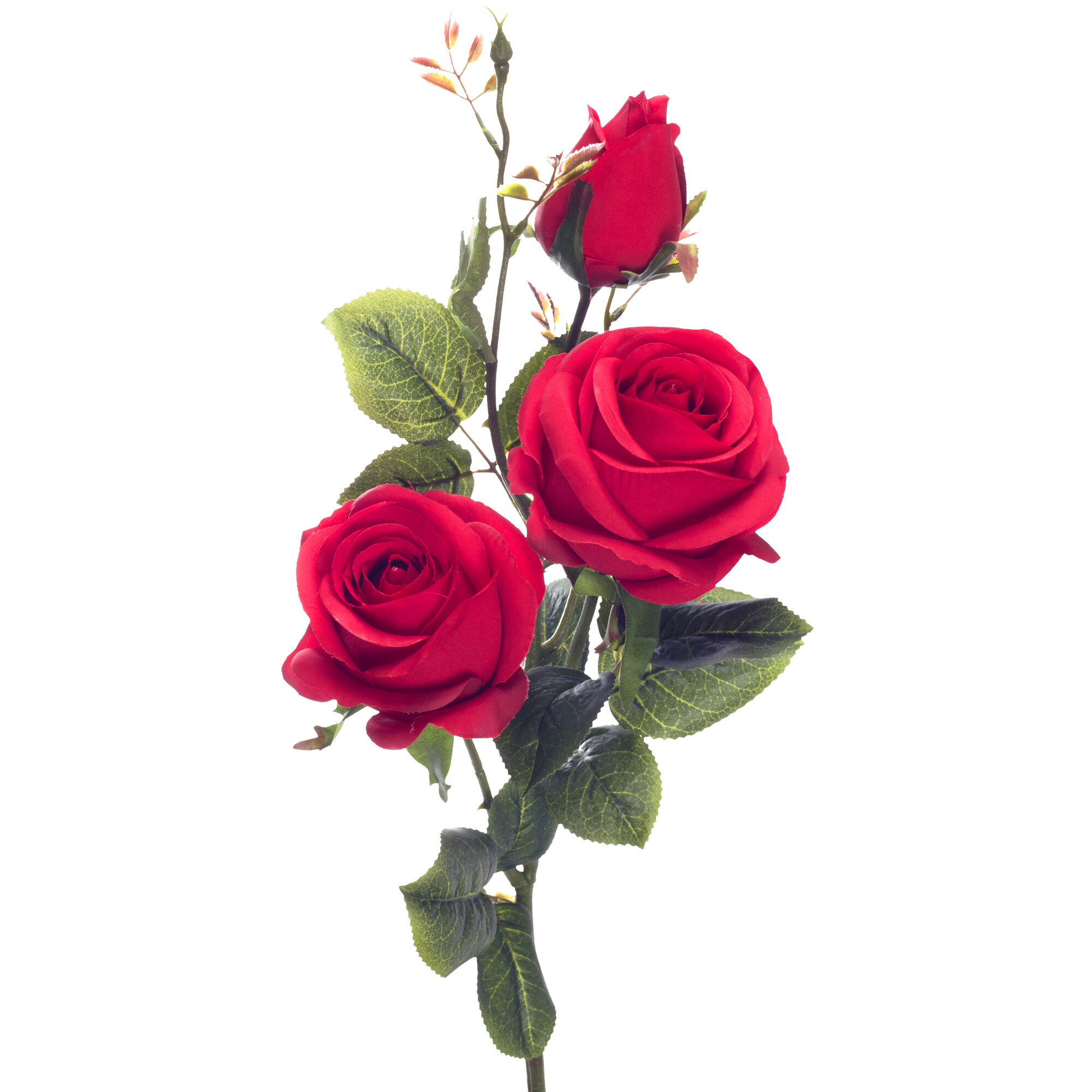 Artificial Rose Spray (Set of 12) Charlton Home Flowers/Leaves Color: Red