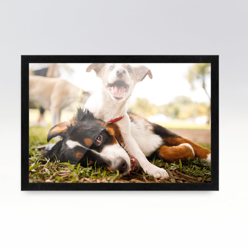 Cadre photo en bois massif Plassie, Noir, L 10 po x H 28 po