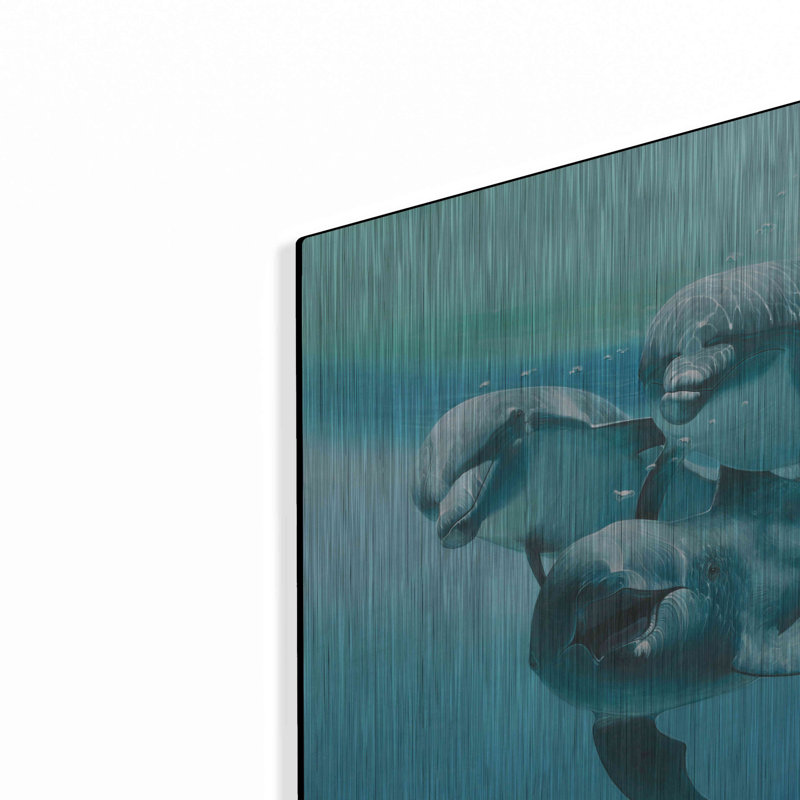 « Dolphins » de Breakwater Bay, par Durwood Coffey, œuvre d'art murale en métal, 61 cm x 41 cm, H 16 po x l 24 po