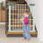 Demoraes Metal Pressure Mounted Pet Gate With Door-795237523