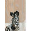 'Bonjour Zebra' Print on Wrapped Canvas-27175424
