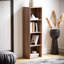 Gerardi 32cm W Standard Bookcase-28126306-70966732