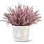 Casper Wheatgrass Arrangement